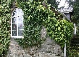 Granary Flat Outside Image